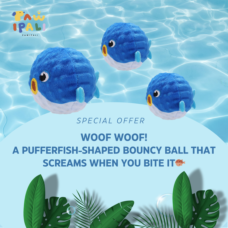 Puffer Fish Bouncy Dog Ball Toy - PAWIPALI
