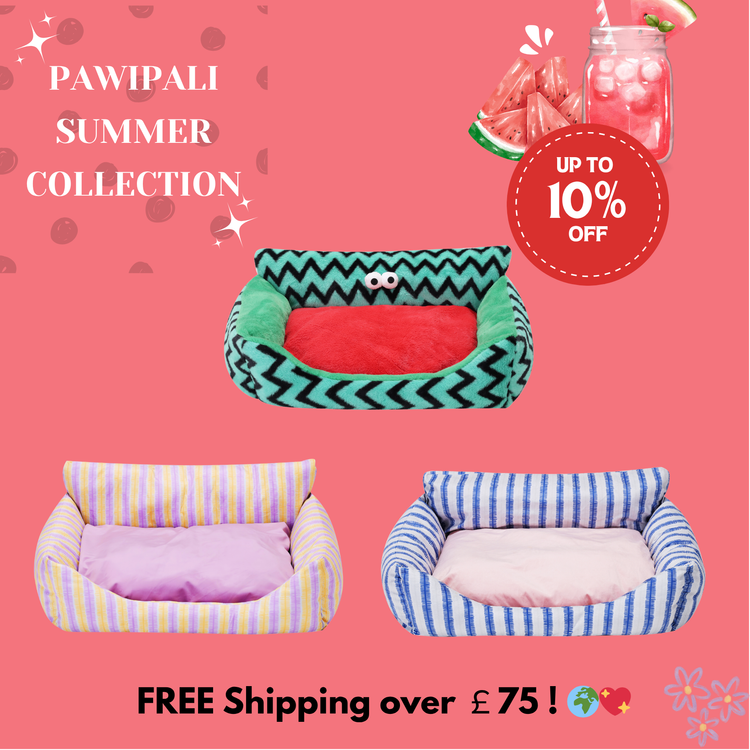 Blue & Pink Dutch Velvet Pet Sofa Bed - PAWIPALI