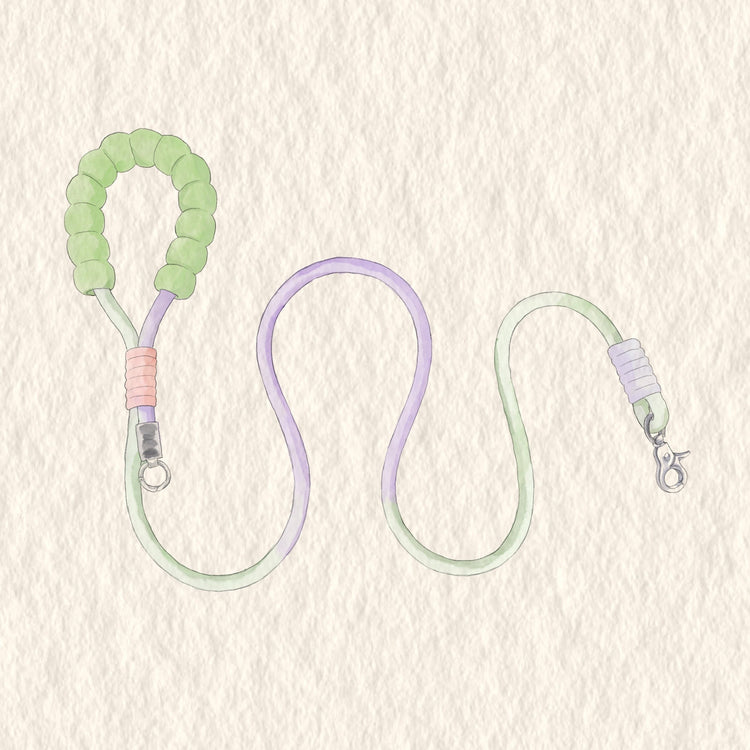 Colourful Dog Leash - PAWIPALI