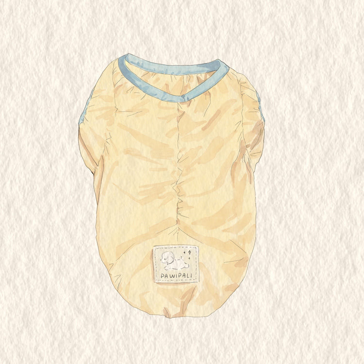 Light blue Fashionable Cooling Jacket for Dogs - PAWIPALI