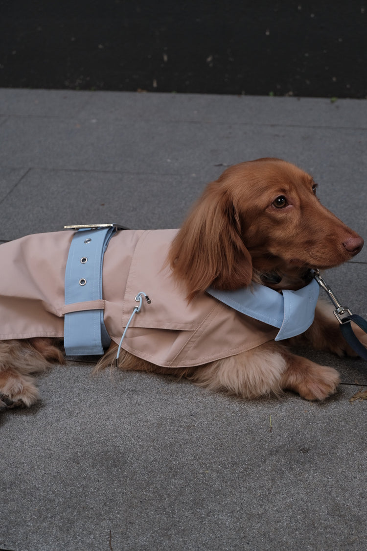 Dog Spring Jacket - PAWIPALI