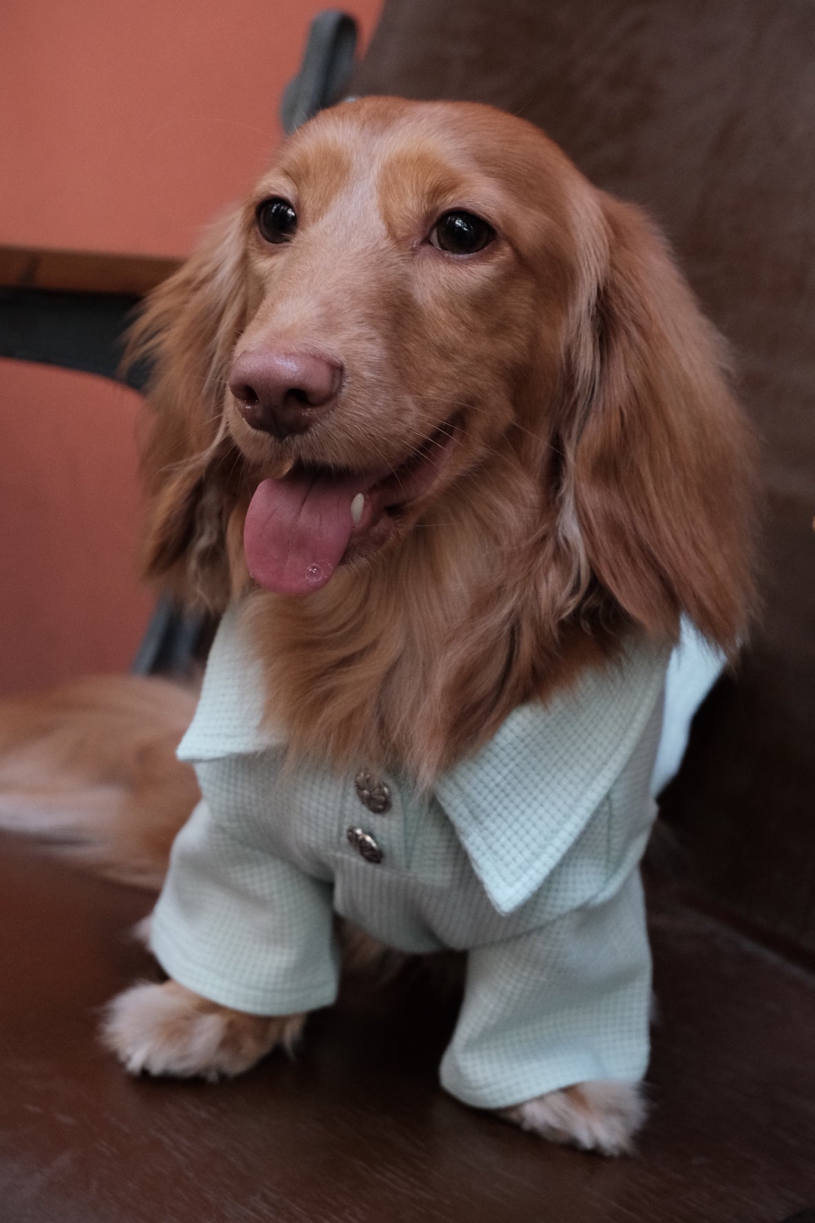 Breathable Dog T-shirt
