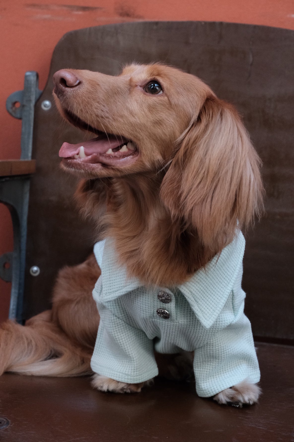 Breathable Dog T-shirt