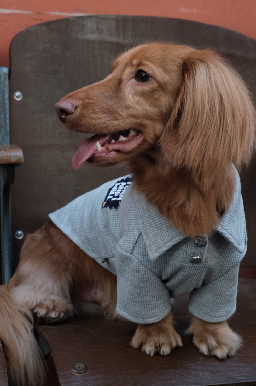 Breathable Dog Summer T-shirt