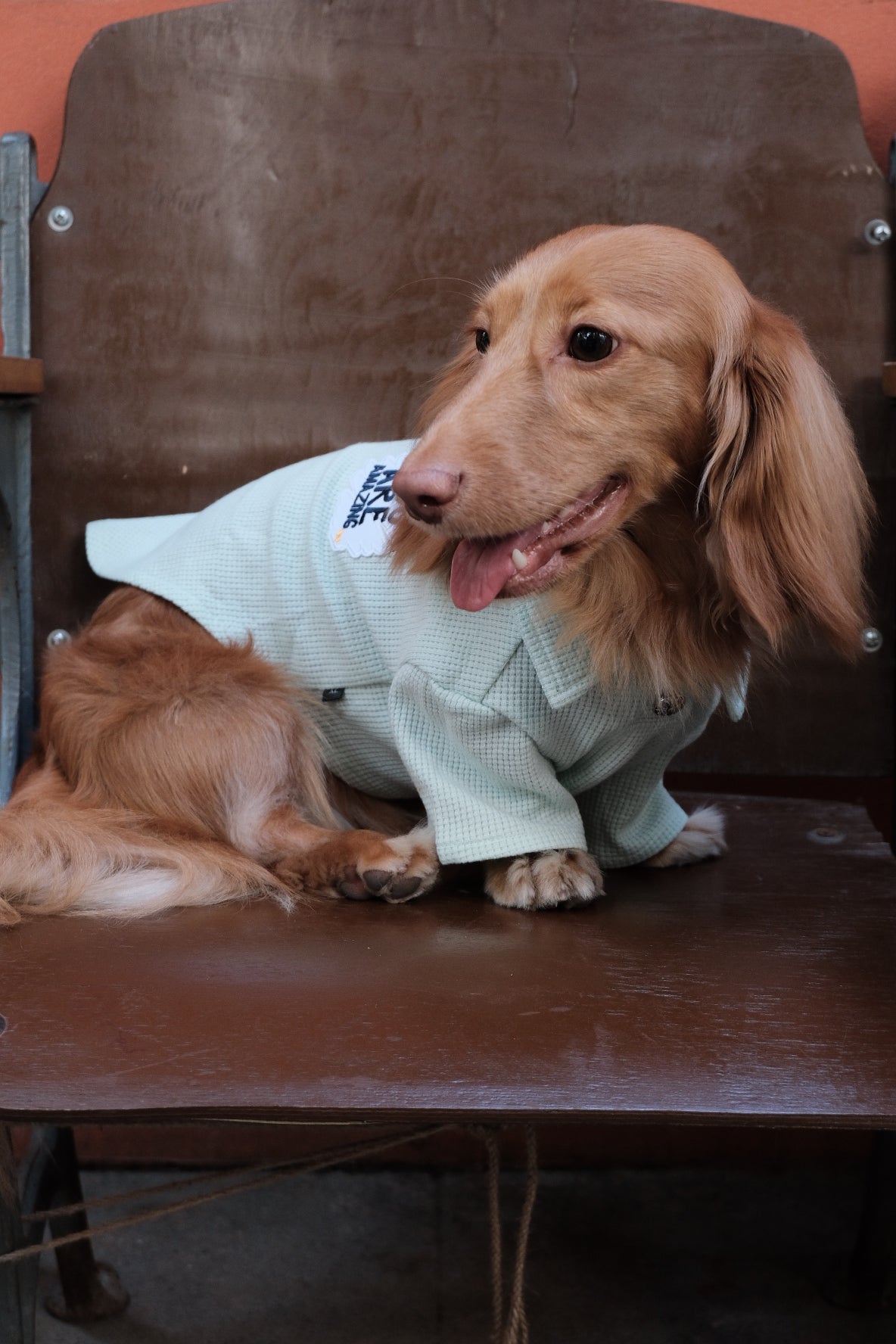 Breathable Dog T-shirt