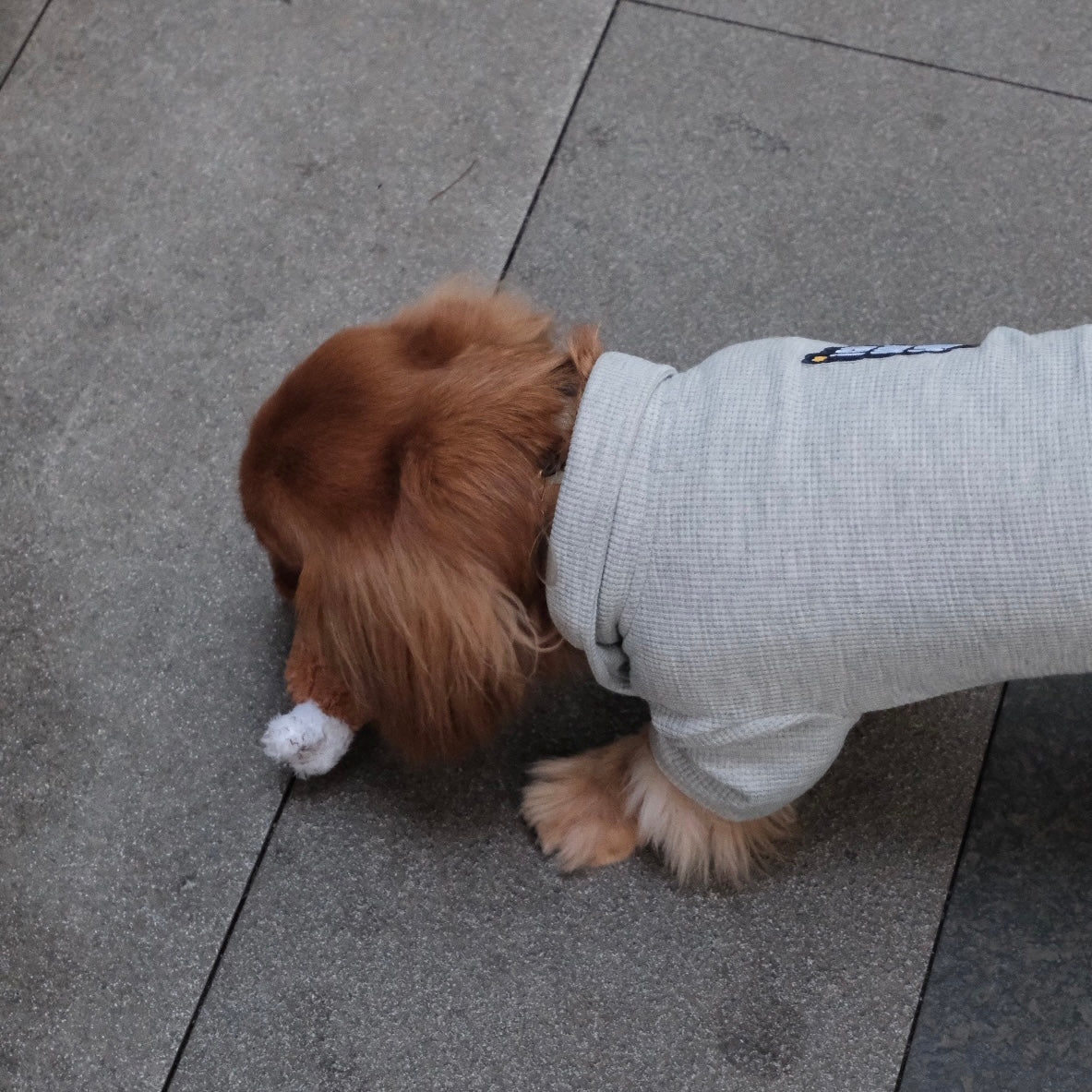 Breathable Dog Summer T-shirt