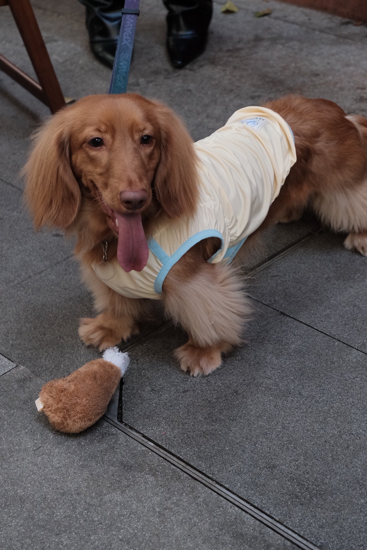 Fashionable Cooling Shirt for Dog