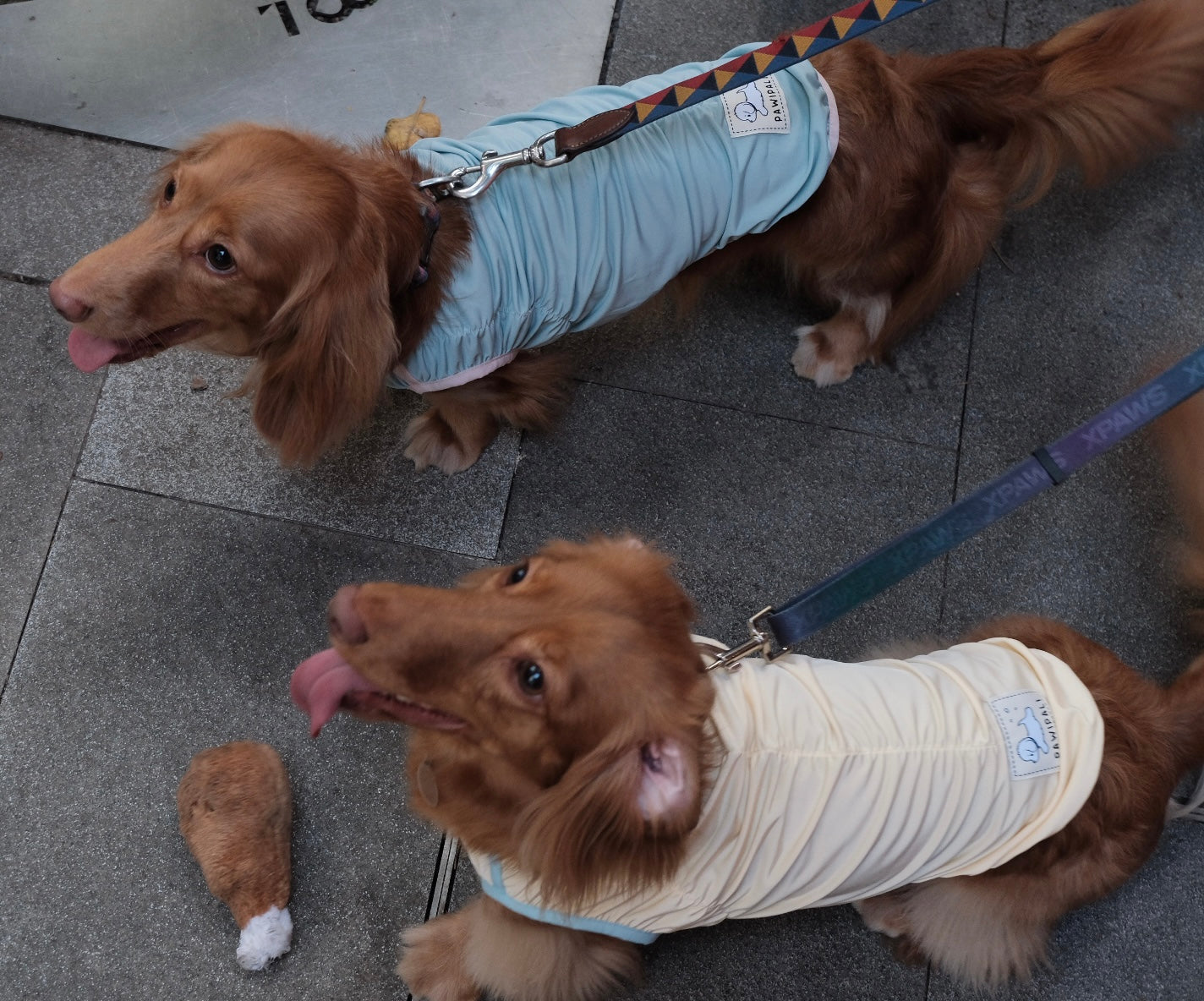Fashionable Cooling Shirt for Dog