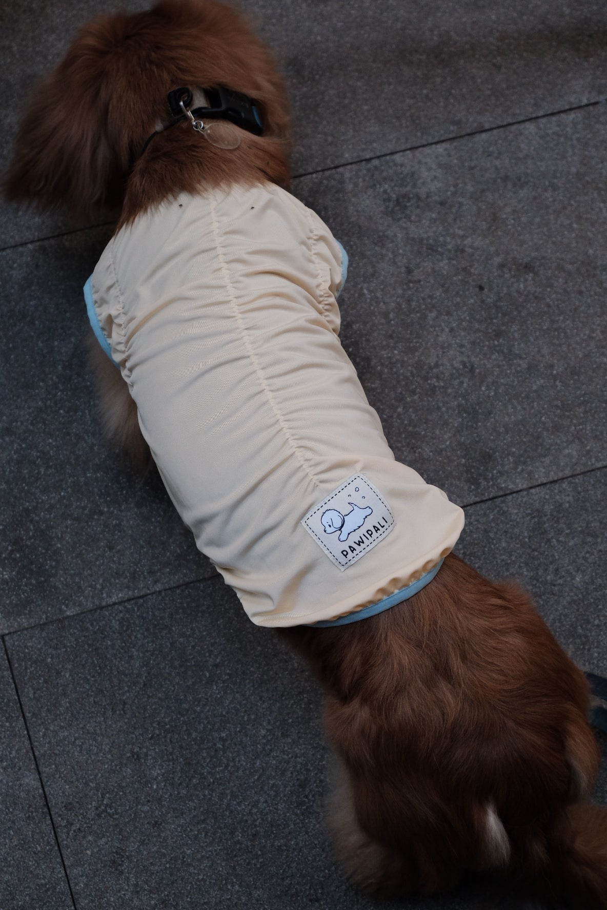 Fashionable Cooling Shirt for Dog