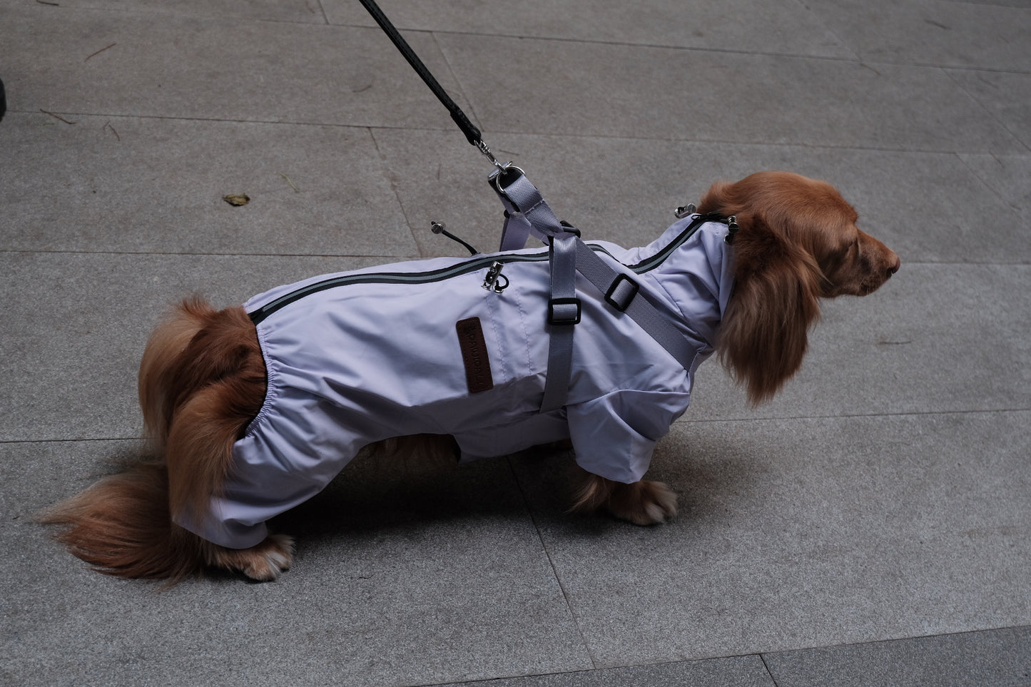 Dog Waterproof Jacket