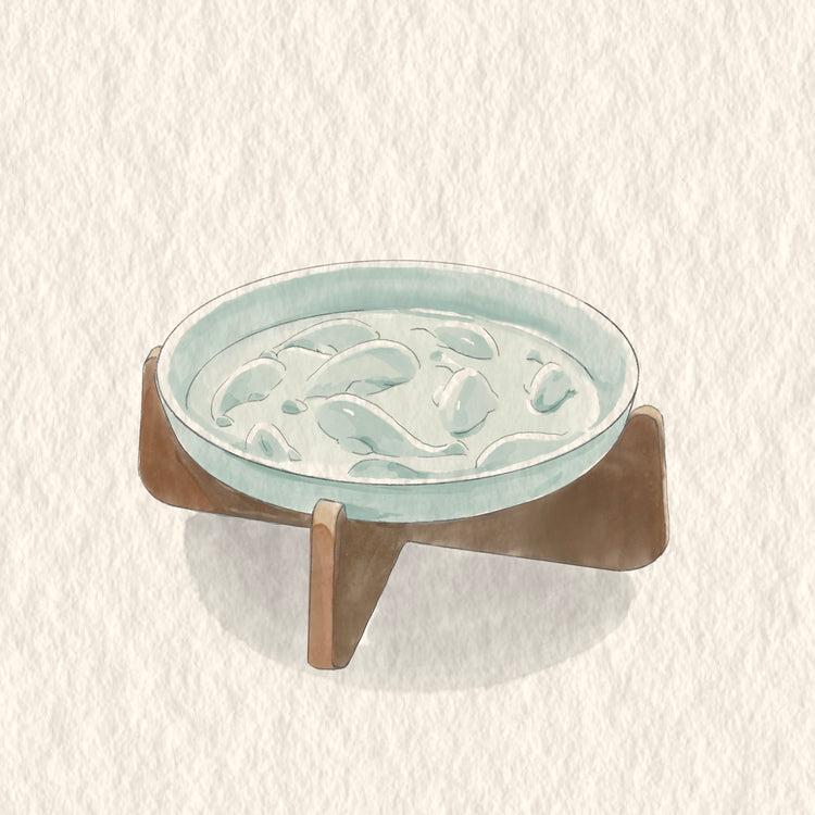 PAWIPALI Mint Green Slow Feeder Cat Bowl Ceramic with Stand - PAWIPALI