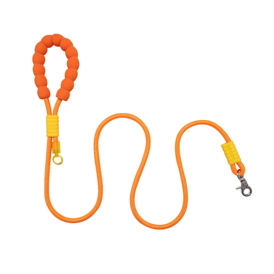 Colourful Dog Leash