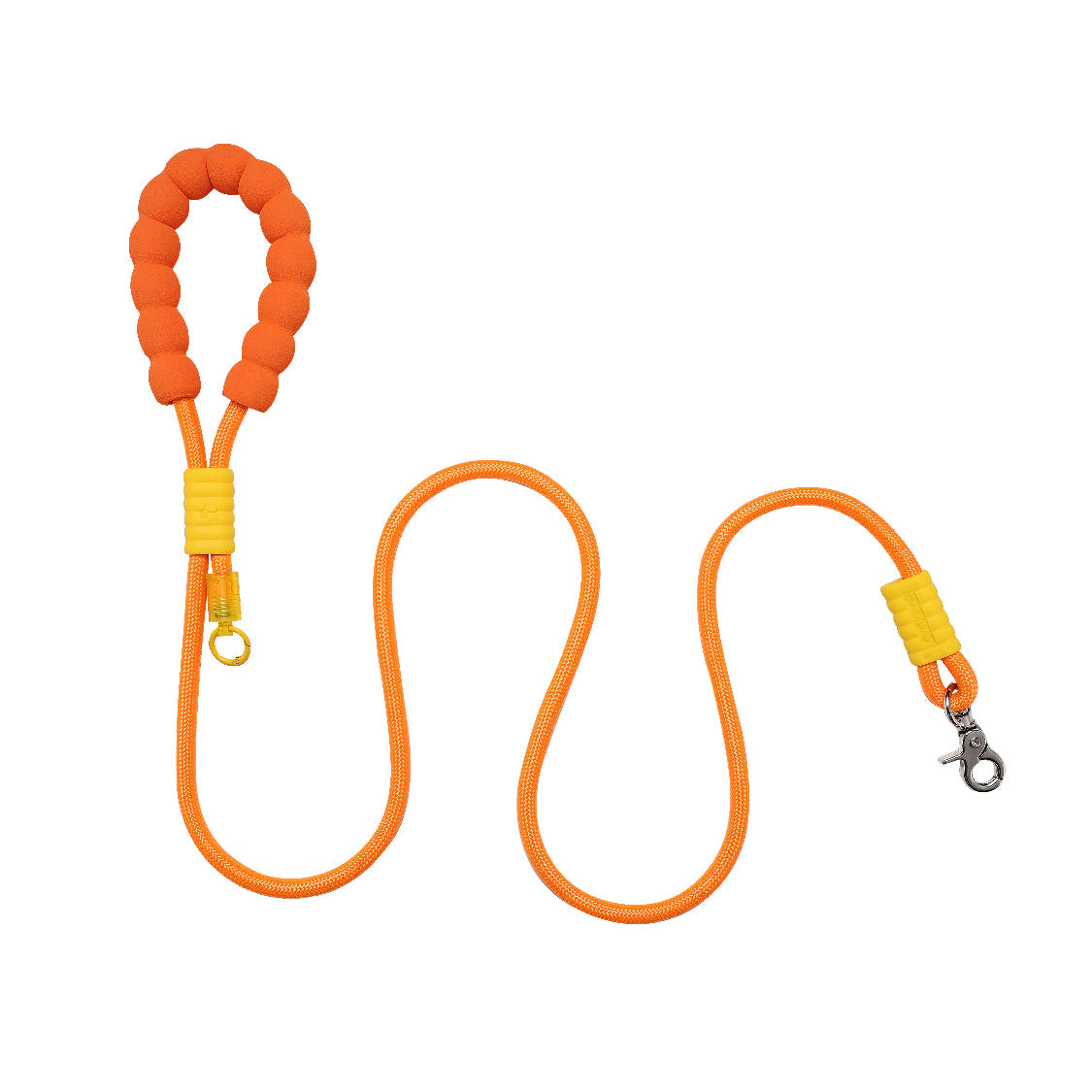 Colourful Dog Leash