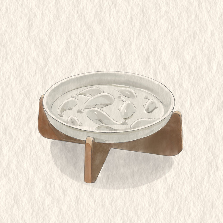 PAWIPALI White Slow Feeder Cat Bowl Ceramic with Stand - PAWIPALI