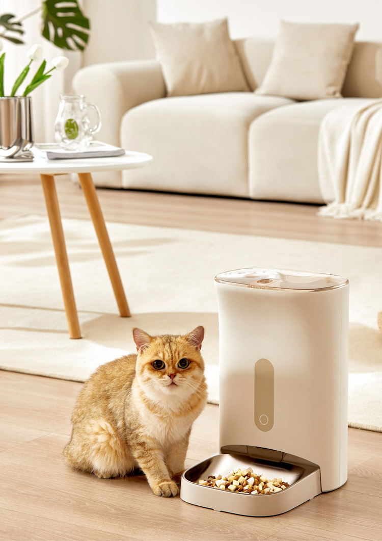 Timing Pet Feeder - PAWIPALI