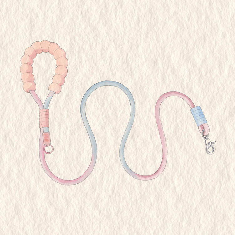 Colourful Dog Leash - PAWIPALI