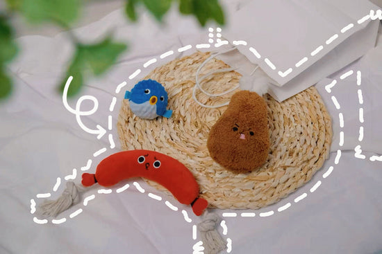 Why Do Dogs Love Squeaky Toys? The Science Behind Their Favourite Plaything
