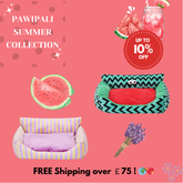 Adorable Pet Sofa Bed - PAWIPALI