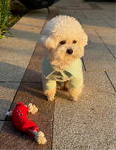 Sausage-Shaped Tug & Play Dog Toy - PAWIPALI