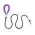 Dog Leash