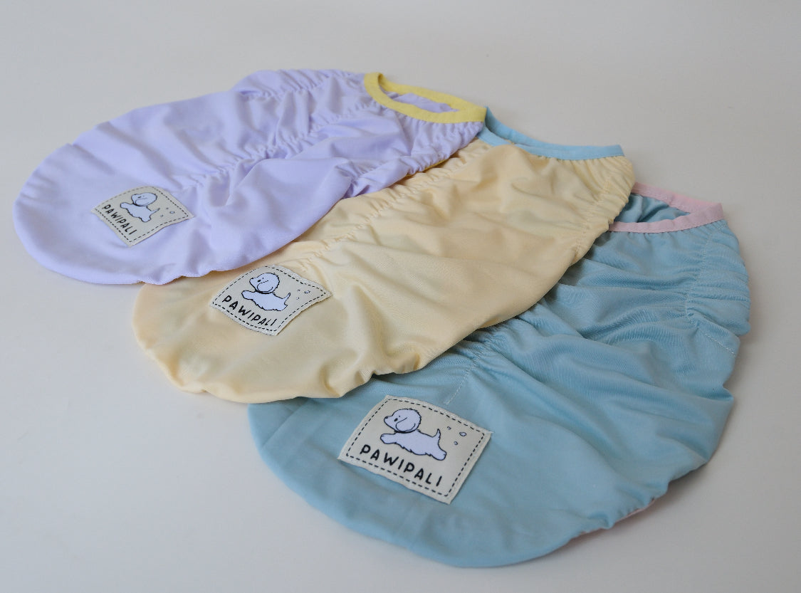 Cooling Jacket for Dogs - PAWIPALI