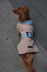 Dog Spring Jacket - PAWIPALI