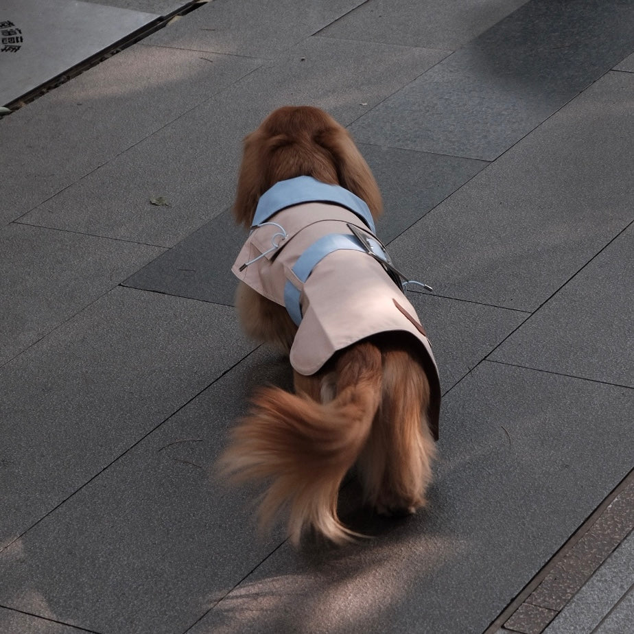 Dog Spring Jacket - PAWIPALI