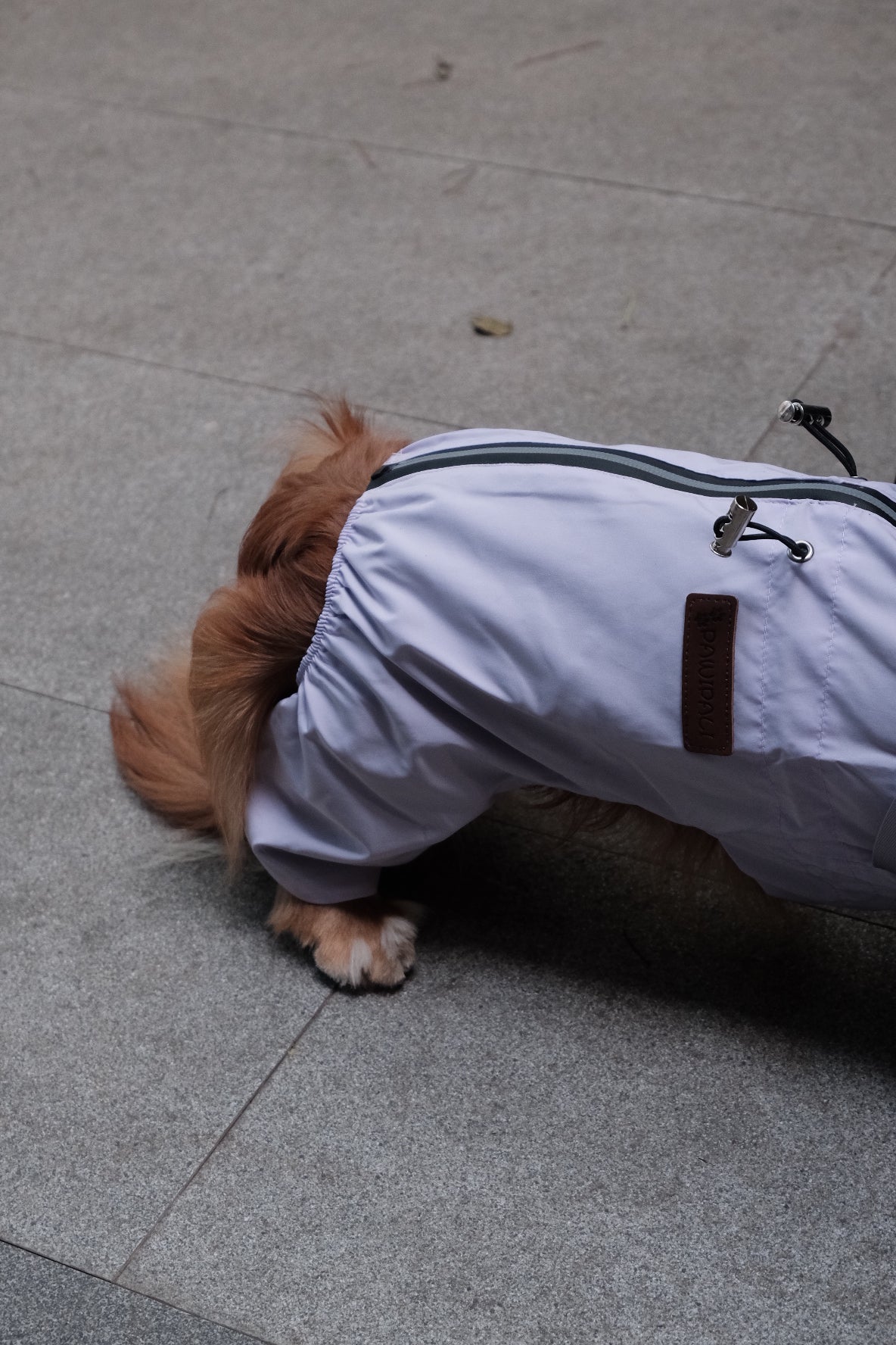 Dog Waterproof Jacket