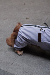 Dog Waterproof Jacket - PAWIPALI