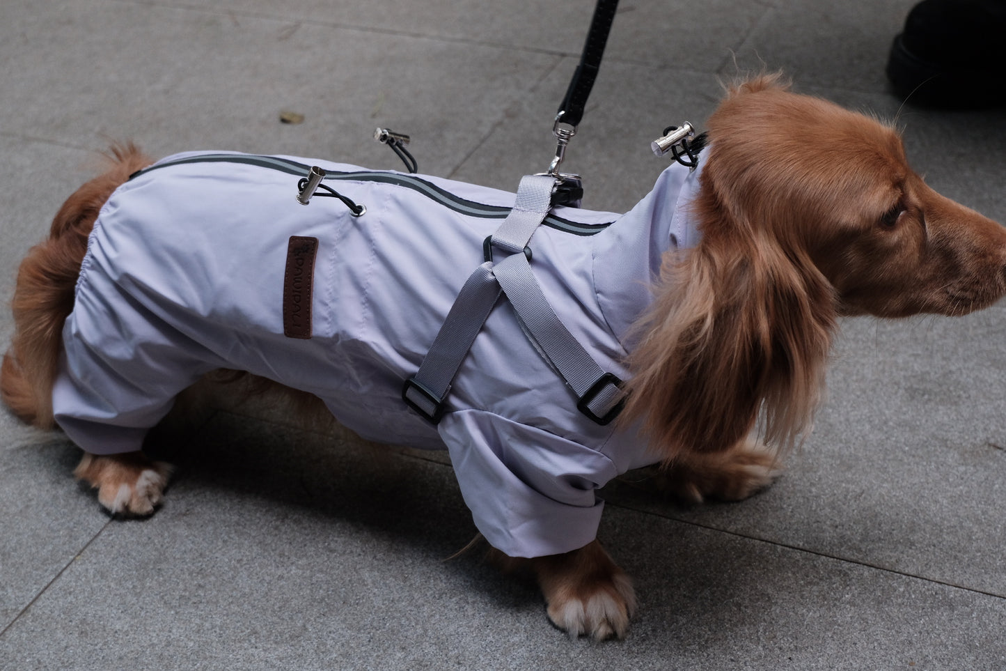 Dog Waterproof Jacket