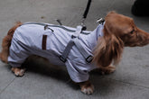 Dog Waterproof Jacket - PAWIPALI