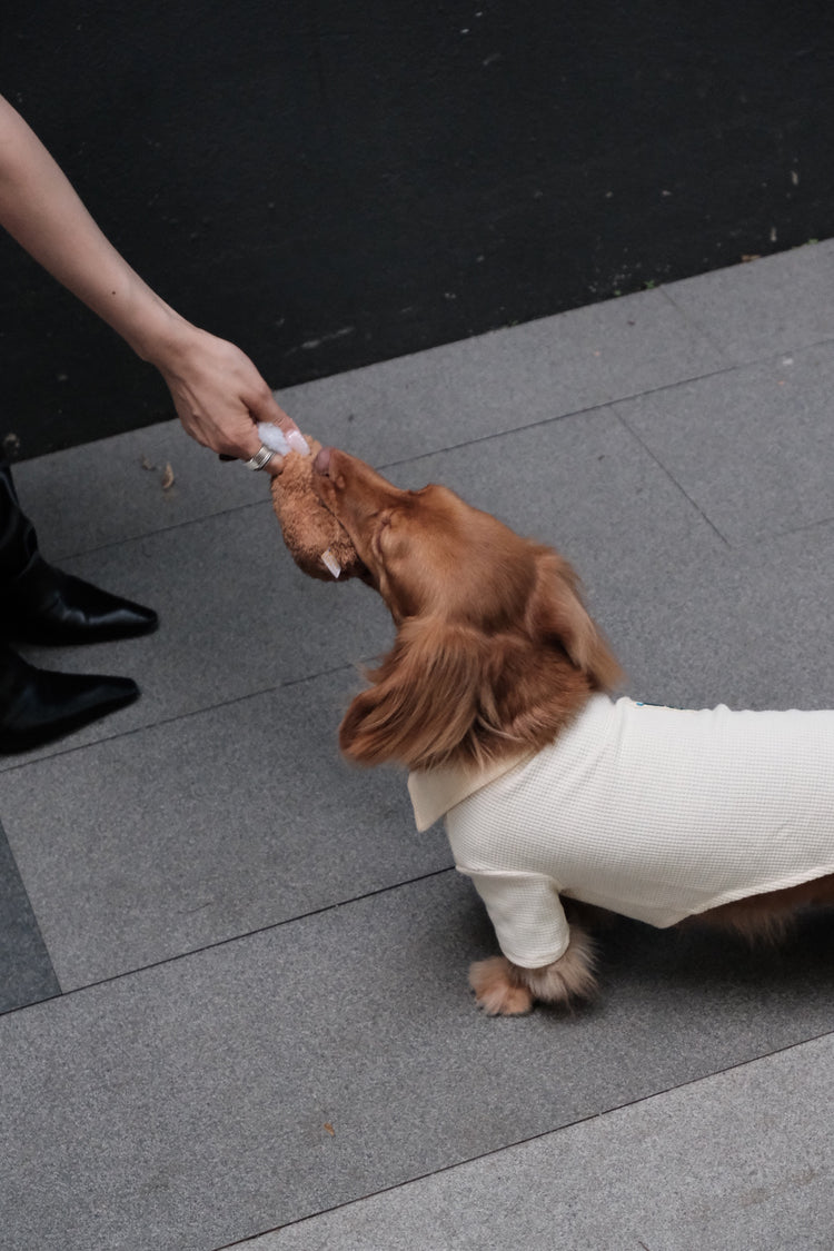Stuffed Squeaky Dog Toy - PAWIPALI