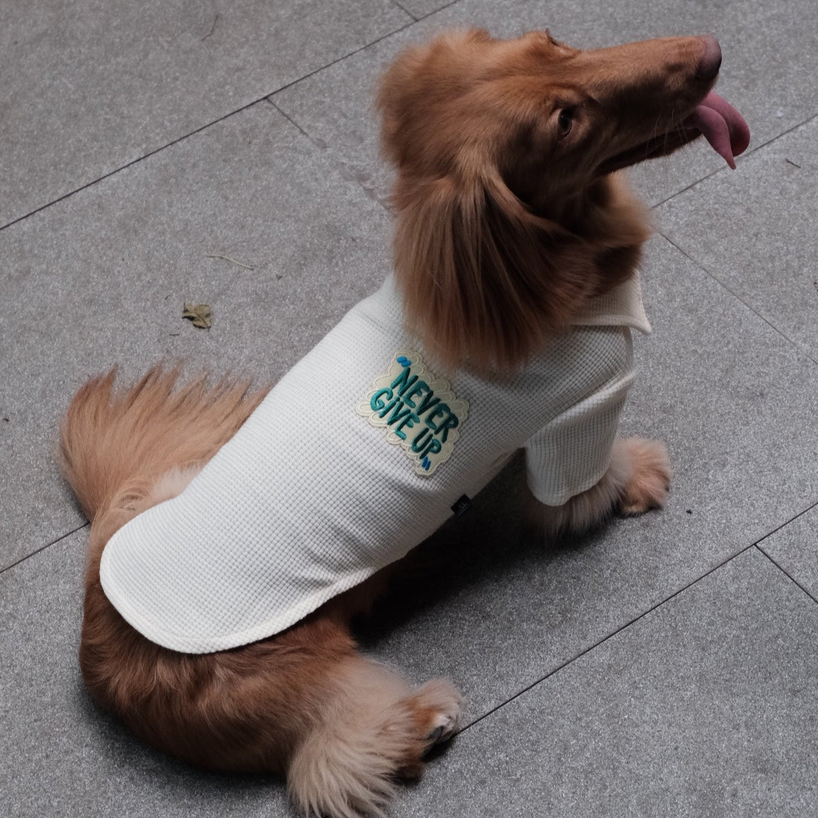 Breathable Dog T-shirt
