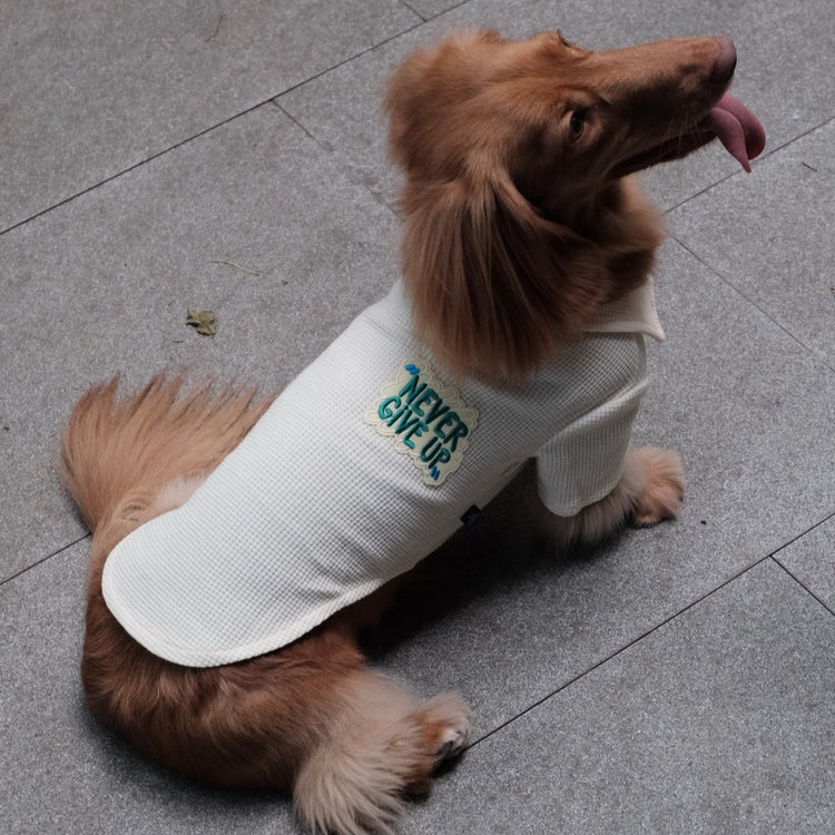 Breathable Dog T-shirt - PAWIPALI