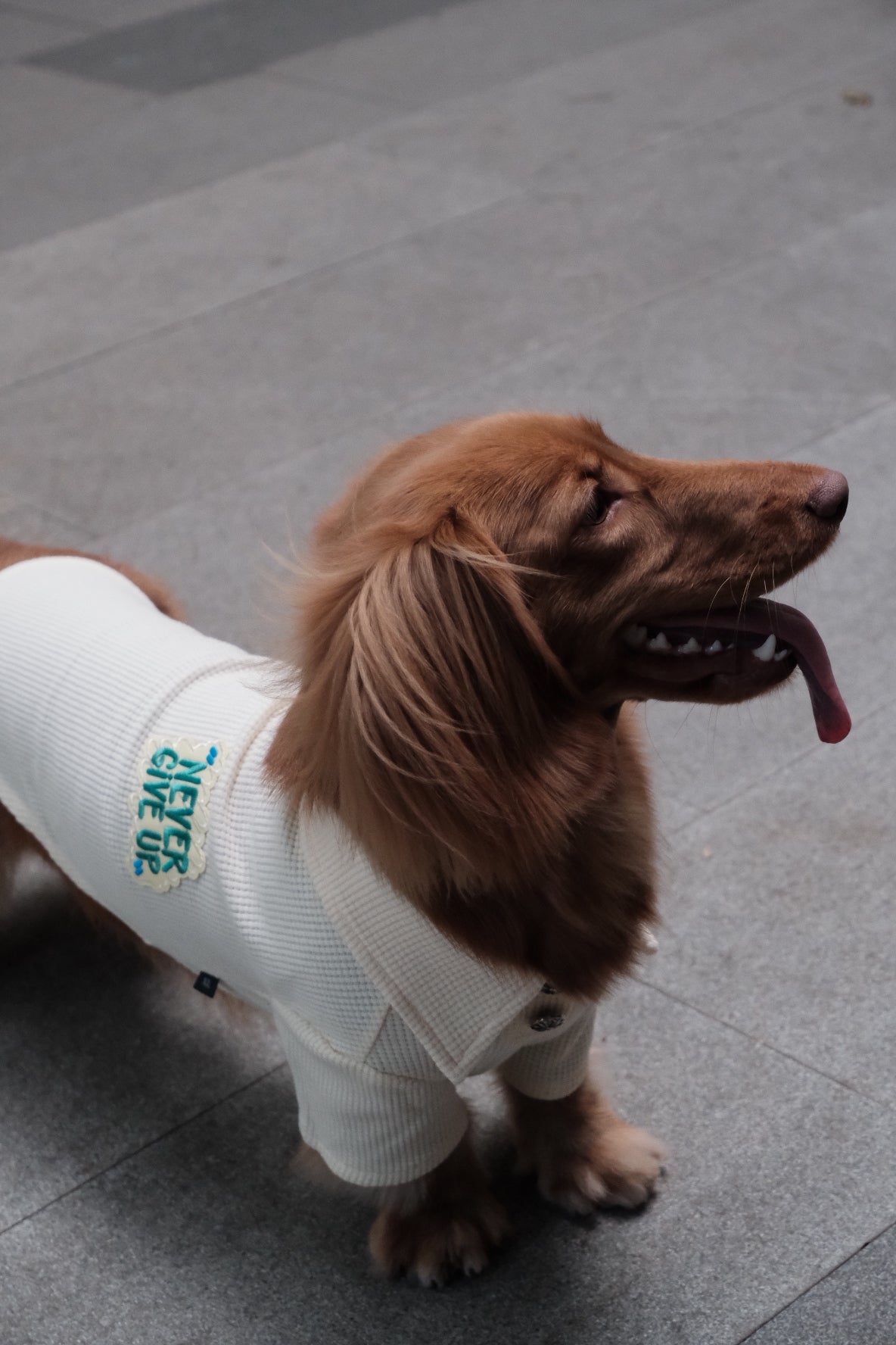 Breathable Dog T-shirt