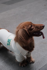 Breathable Dog T-shirt - PAWIPALI