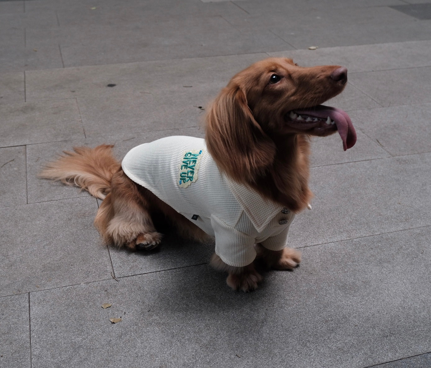 Breathable Dog T-shirt