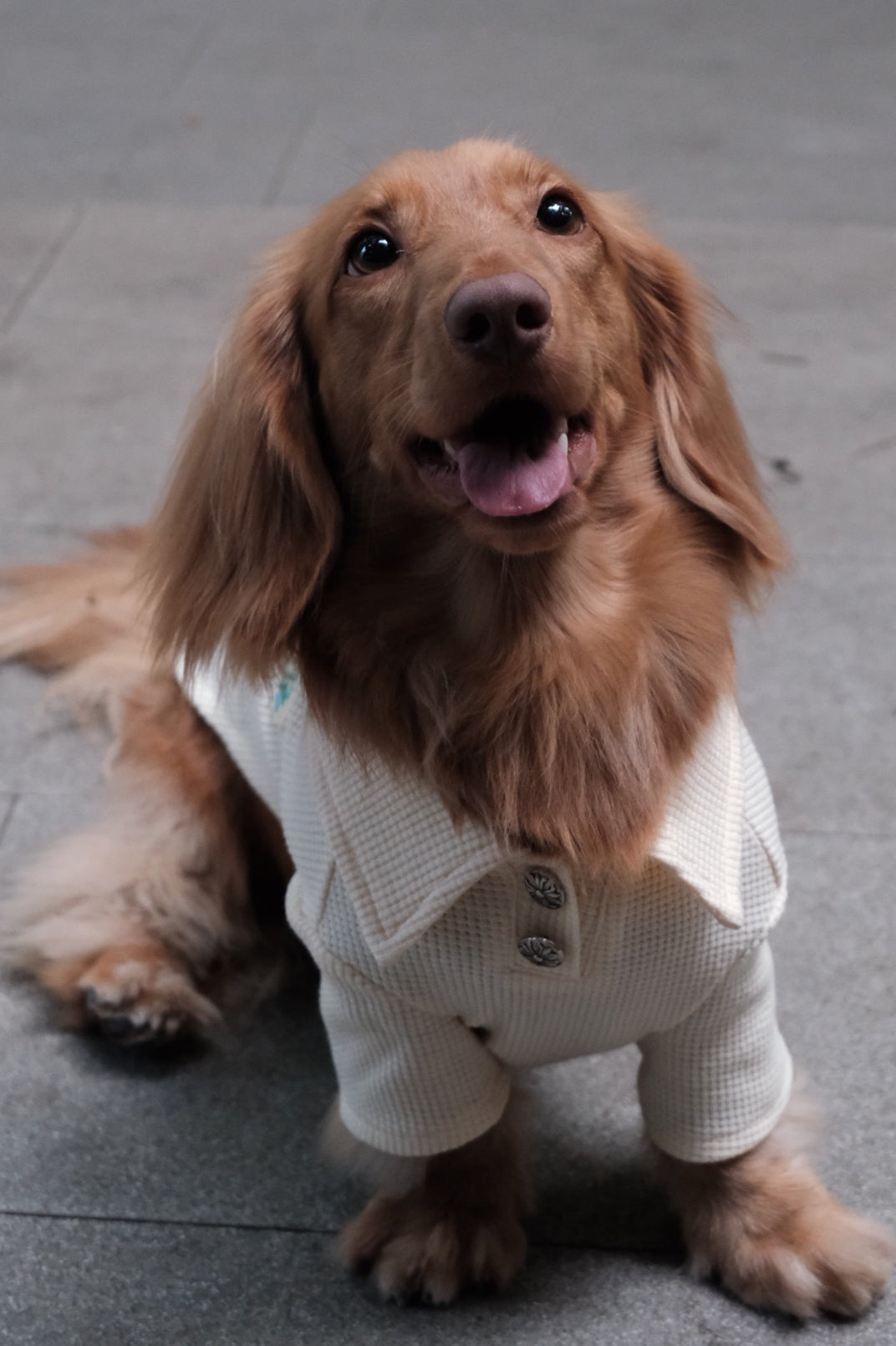 Breathable Dog T-shirt