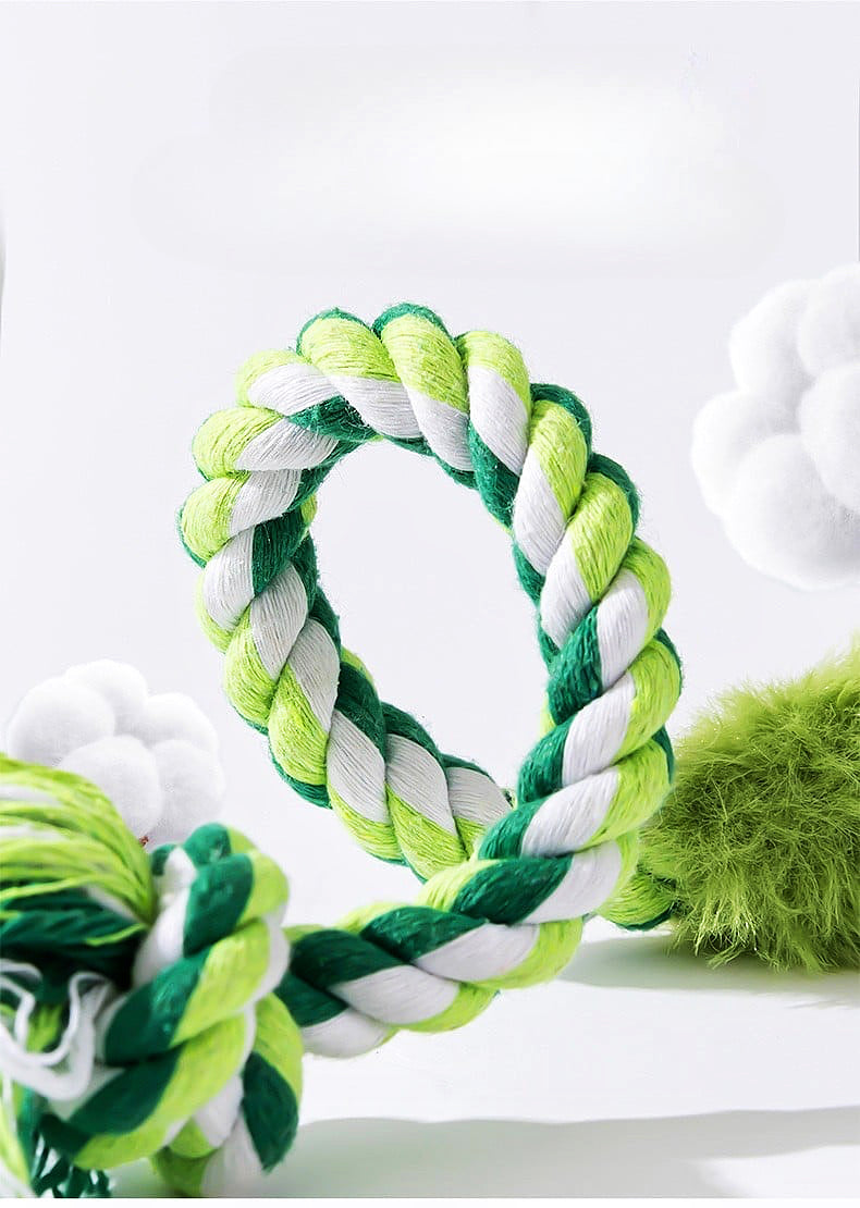 Dinosaur Dog play toy rope