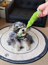 Best Friend Dinosaur Roarer Dog Toy - PAWIPALI