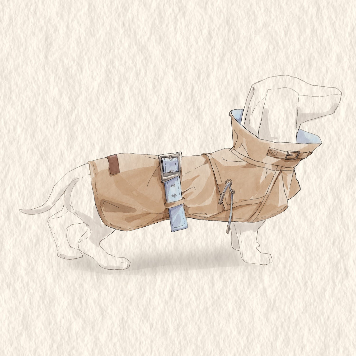 Dog Fashion Detective Style Windbreaker - PAWIPALI
