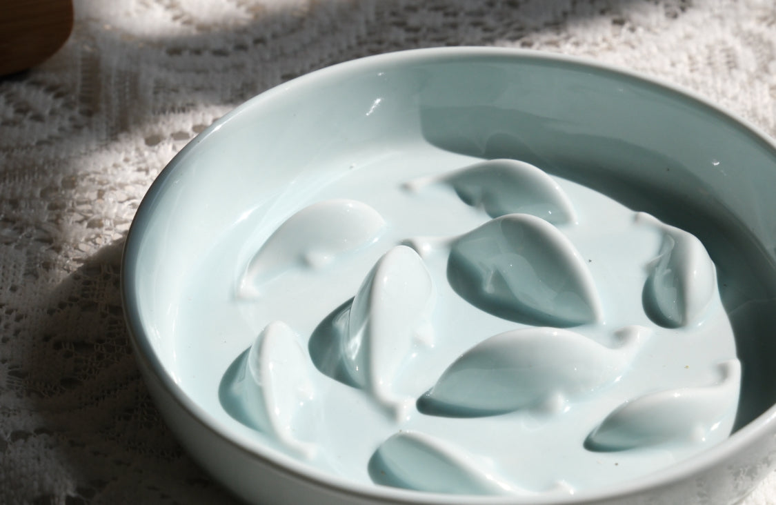 PAWIPALI Mint Green Slow Feeder Cat Bowl Ceramic with Stand - PAWIPALI