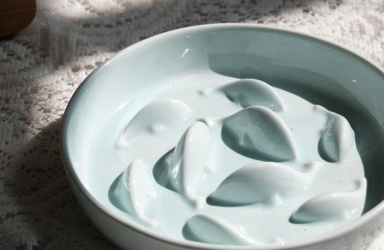 PAWIPALI Mint Green Slow Feeder Cat Bowl Ceramic with Stand - PAWIPALI