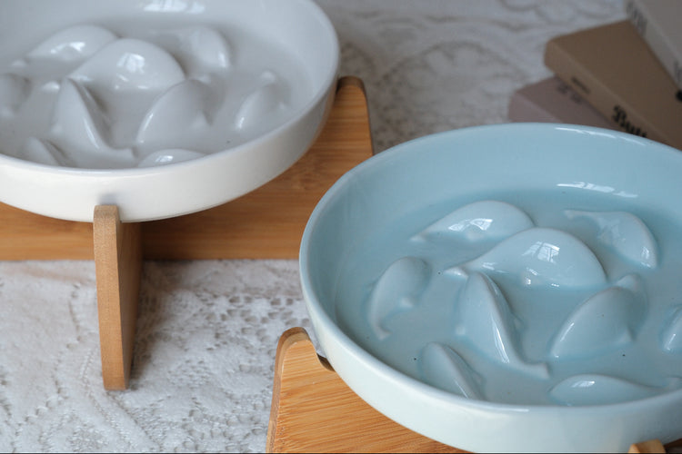 PAWIPALI Mint Green Slow Feeder Cat Bowl Ceramic with Stand - PAWIPALI