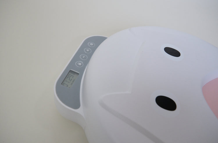 Automatic Cat Feeder Wet Food - PAWIPALI