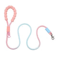 Colourful Dog Leash