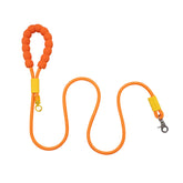 Colourful Dog Leash - PAWIPALI