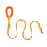 Colourful Dog Leash - PAWIPALI