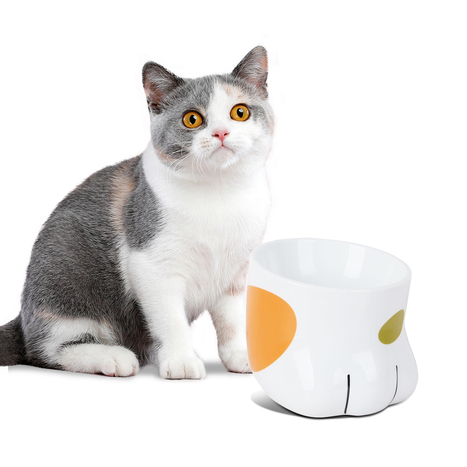 PAWIPALI Cat Bowl - PAWIPALI