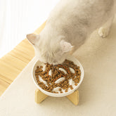 PAWIPALI Mint Green Slow Feeder Cat Bowl Ceramic with Stand - PAWIPALI
